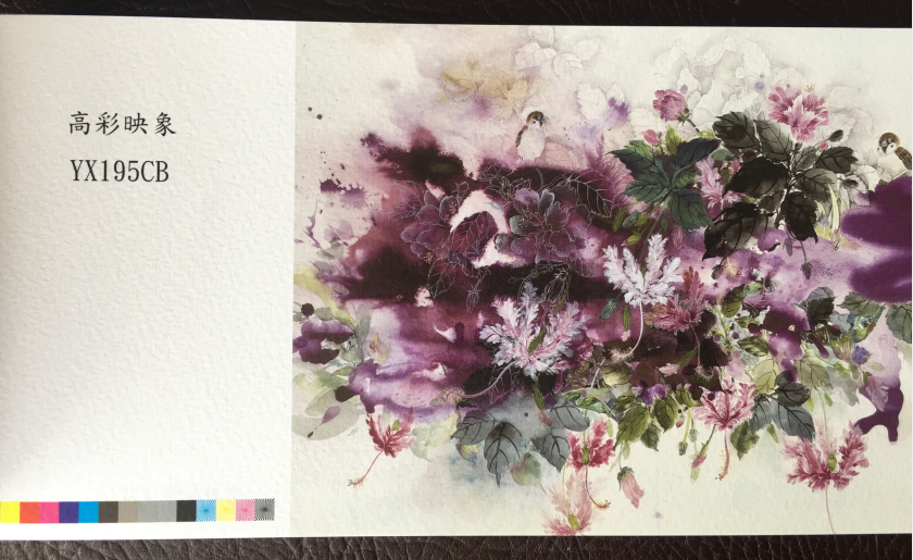 特種紙195克高彩映象